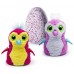 Hatchimals Pengualas Uovo Interattivo - Spin Master 6028874